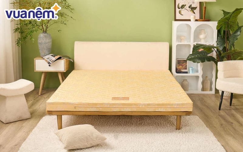 Nệm bông ép cao cấp Wonjun Pure Carbon
