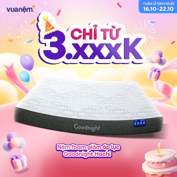 Nệm foam Goodnight Hachi giảm áp lực
