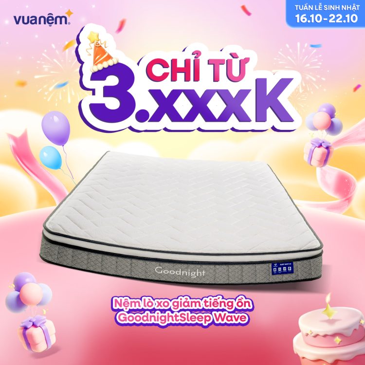 Nệm lò xo Goodnight Sleep Wave chỉ 3.xxxk