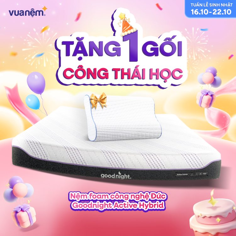 Nệm foam Goodnight Active Hybrid