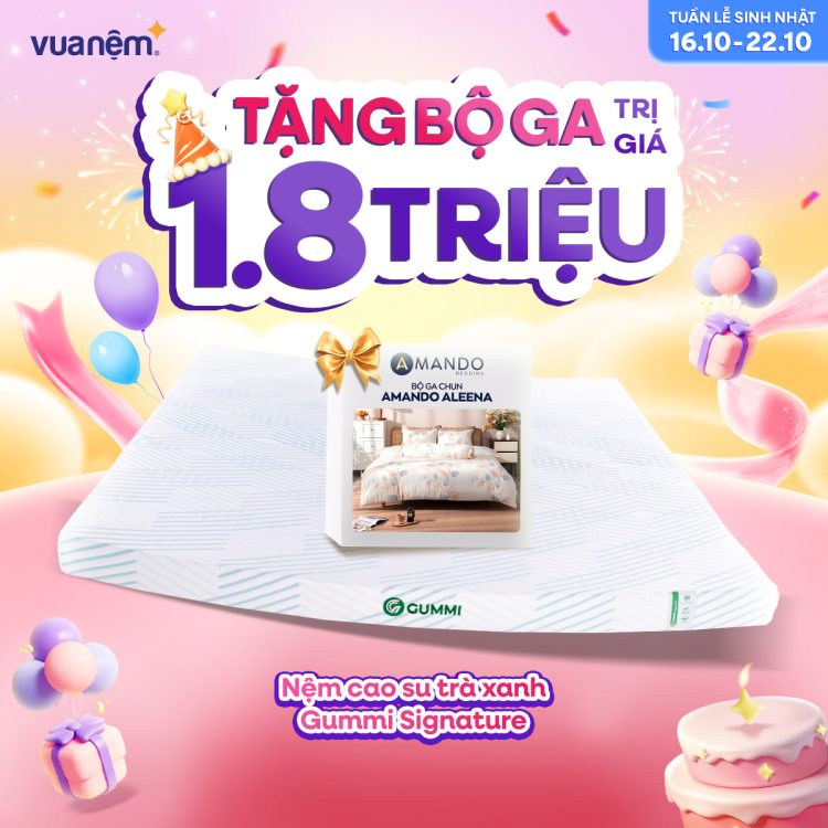 Nệm cao su trà xanh Gummi Signature