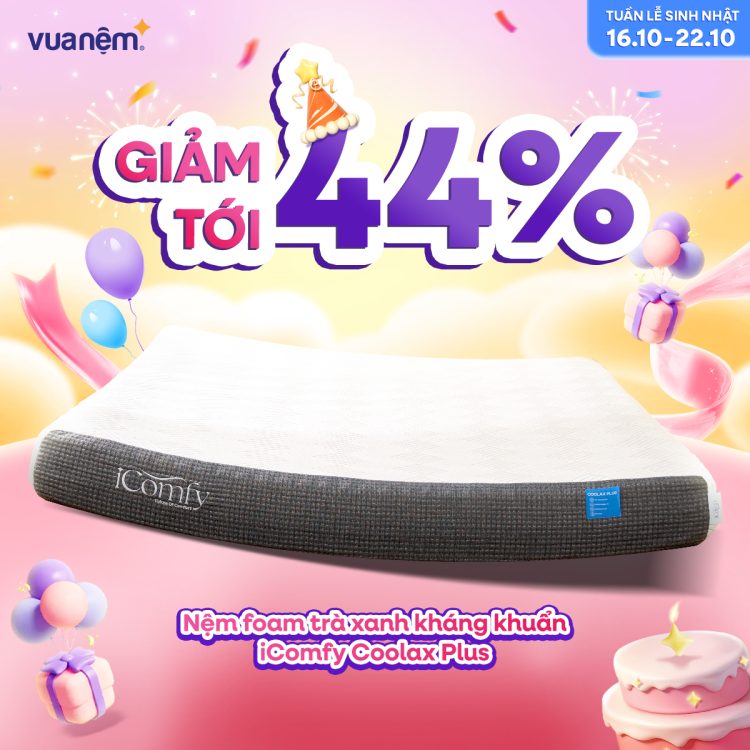 Nệm foam trà xanh kháng khuẩn iComfy Coolax Plus sale 44%