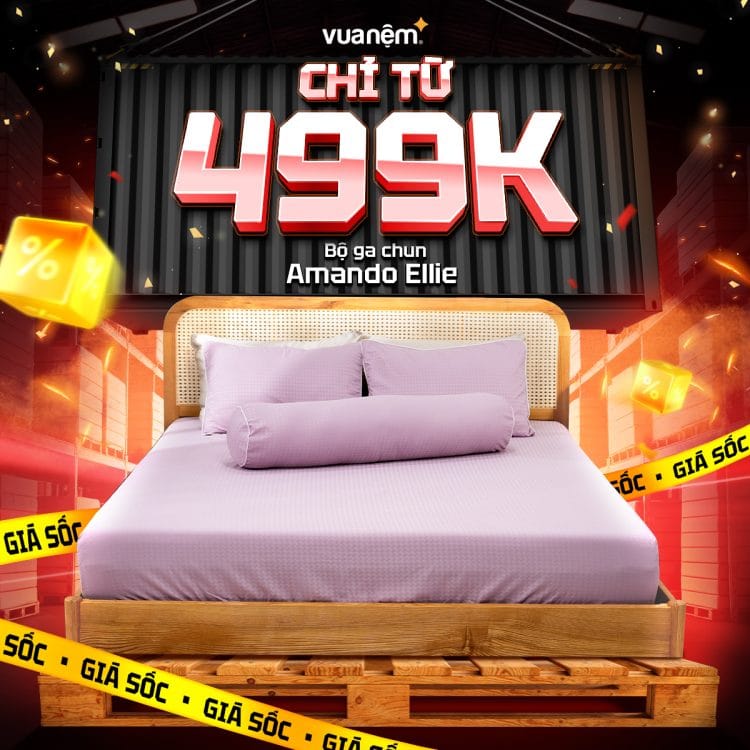 Bộ ga chun Amando Ellie