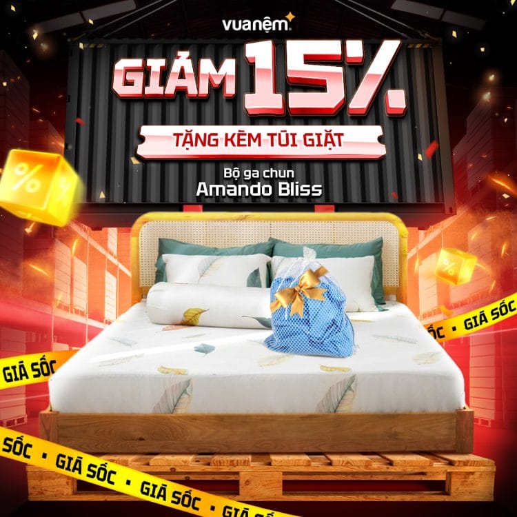 Bộ ga chun Amando Bliss