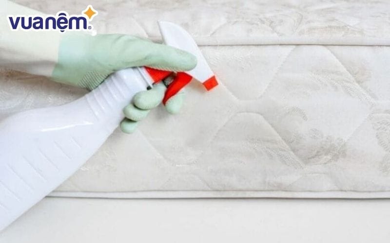 Xử lý nệm bông ép mốc bằng dung dịch cồn