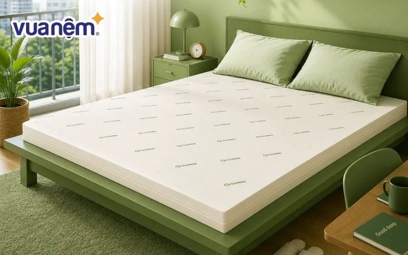 Bảo quản nệm đúng cách để hạn chế nấm mốc, mùi hôi khó chịu