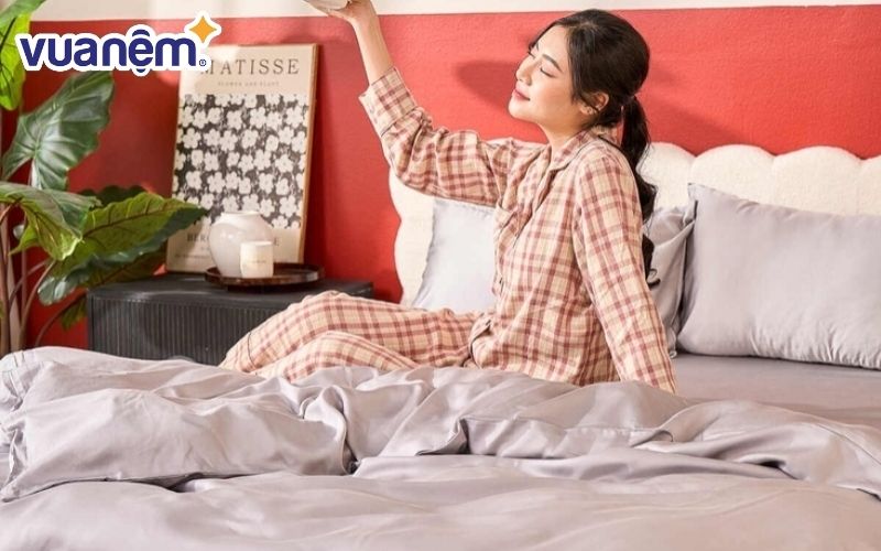 Bộ ga gối Tencel cao cấp Goodnight Luxsilk