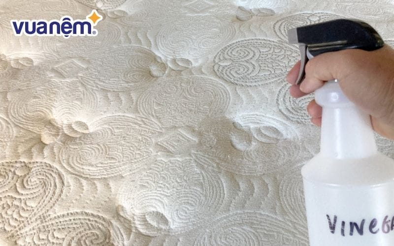 Cách xử lý nệm bị nấm mốc hiệu quả bằng giấm trắng