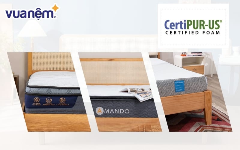 chung nhan certipur us la gi 2