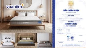 Chứng nhận ISO 9001:2015 và Top 7 nệm đạt chuẩn tại Vua Nệm