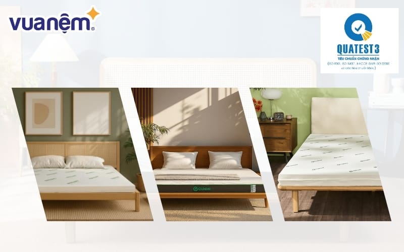 chung nhan quatest 3 la gi 2