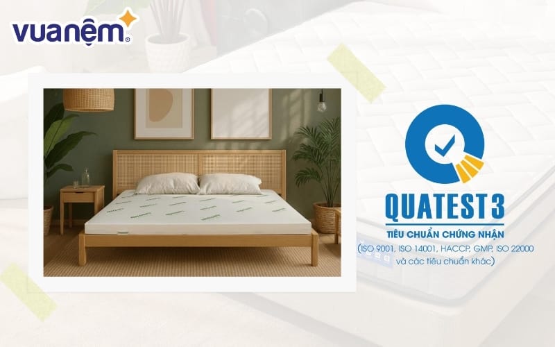 chung nhan quatest 3 la gi 3