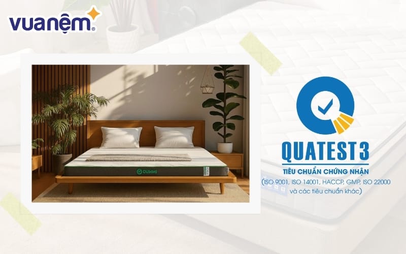 chung nhan quatest 3 la gi 4