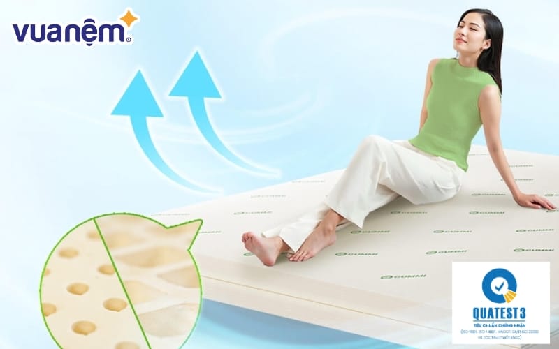 chung nhan quatest 3 la gi 6