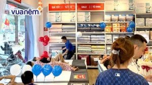 Top 8+ địa chỉ mua chăn ga gối nệm Điện Biên giá tốt, dịch vụ chu đáo