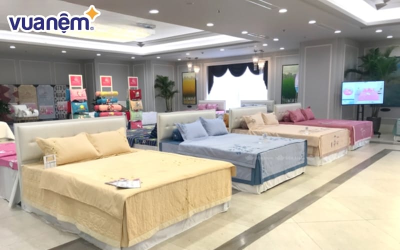 Chăn ga gối đệm Trung Quỳnh