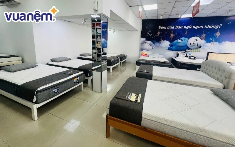 Đạ dạng sản phẩm nệm giúp bạn tha hồ lựa chọn
