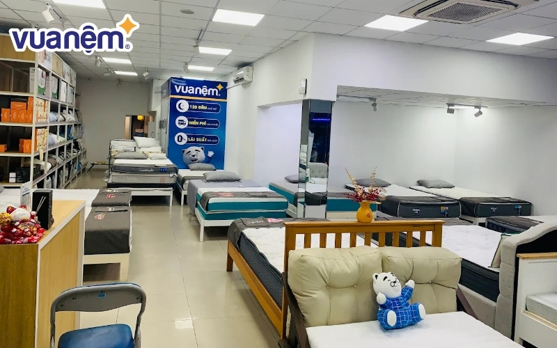 Đạ dạng sản phẩm nệm giúp bạn tha hồ lựa chọn