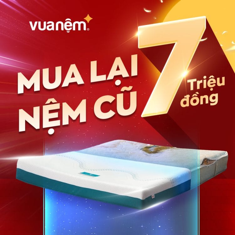 Vua Nệm cung cấp dịch vụ thu cũ đổi mới nệm chuyên nghiệp