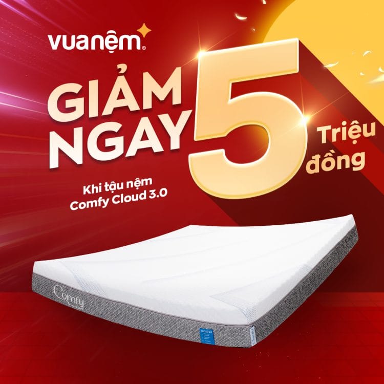 Vua Nệm cung cấp dịch vụ thu cũ đổi mới nệm chuyên nghiệp