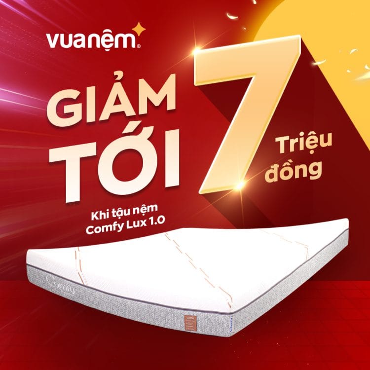 Vua Nệm cung cấp dịch vụ thu cũ đổi mới nệm chuyên nghiệp