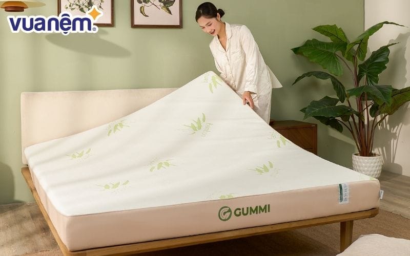 Định kỳ vệ sinh nệm cao su