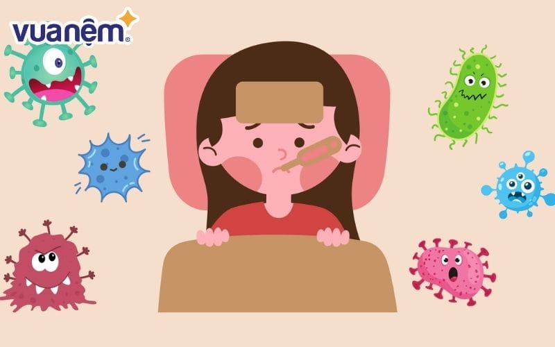 Chăn ga gối cũ dễ gây ảnh hưởng hệ miễn dịch