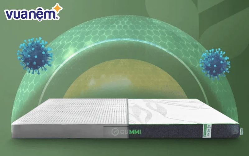 Nệm cao su than tre Gummi Premium với khả năng kháng khuẩn vượt trội