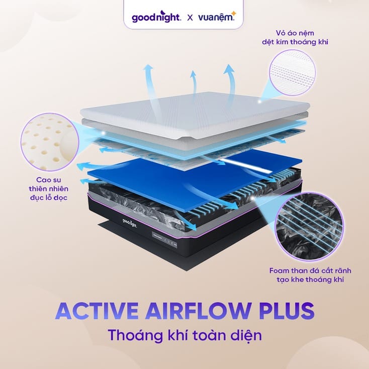 oeko tex standard 100 la gi hybrid goodnight