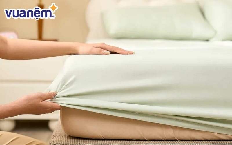 Sử dụng ga bọc nệm
