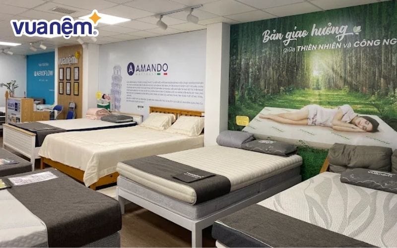 Tham khảo 20+ thương hiệu hàng đầu tại Vua Nệm