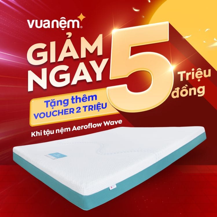 Nệm foam Nhật Bản Aeroflow Wave 
