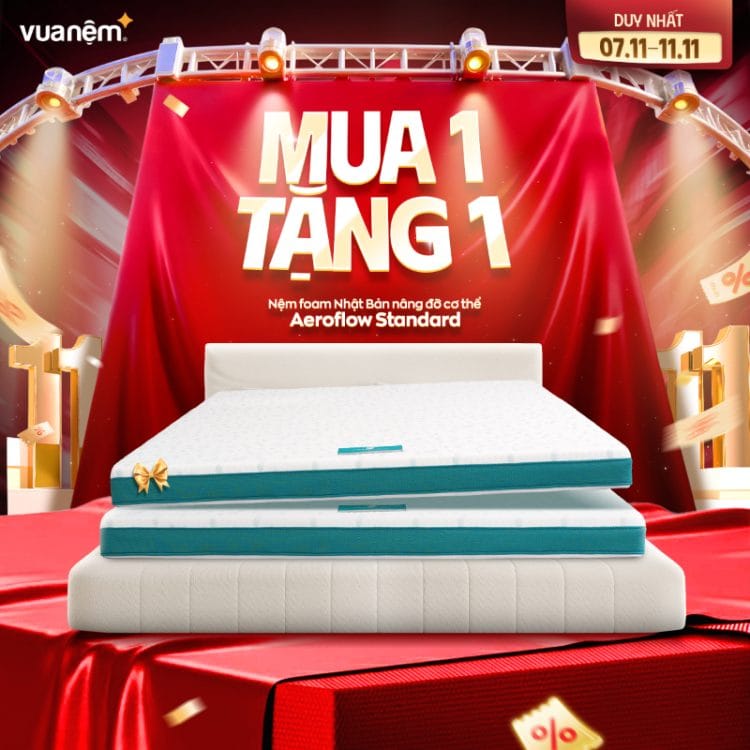 Mua 1 tặng 1 nệm foam Nhật Bản Aeroflow Standard
