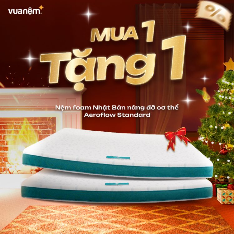 Mua 1 tặng 1 nệm foam Nhật Bản Aeroflow Standard