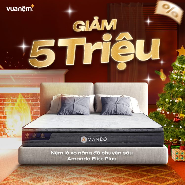 Nệm lò xo nâng đỡ chuyên sâu Amando Elite Plus giảm 5 triệu