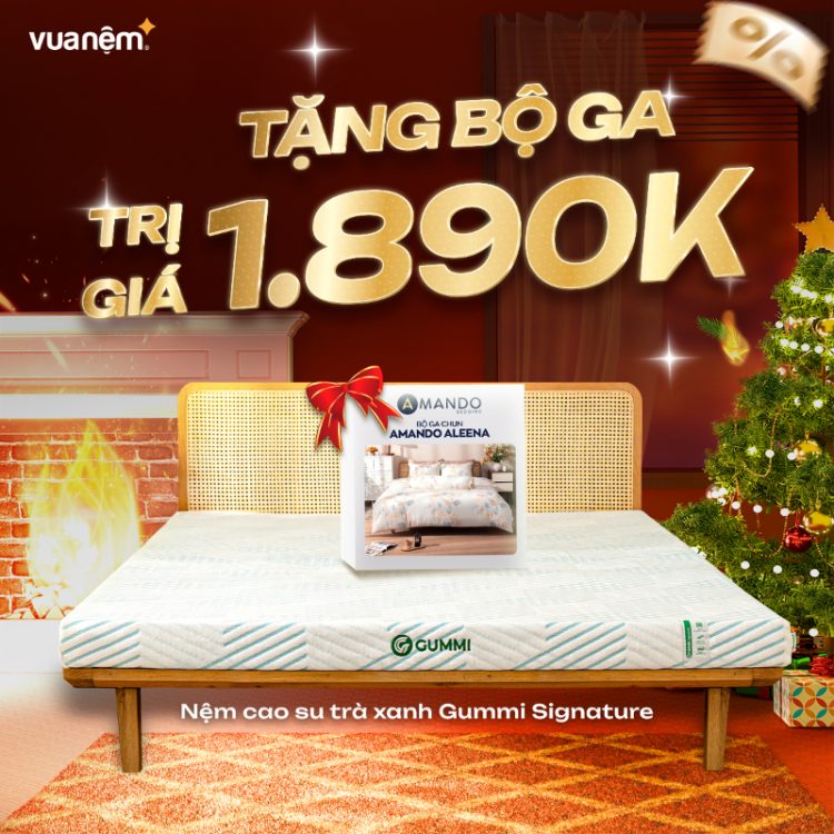 Nệm cao su trà xanh Gummi Signature