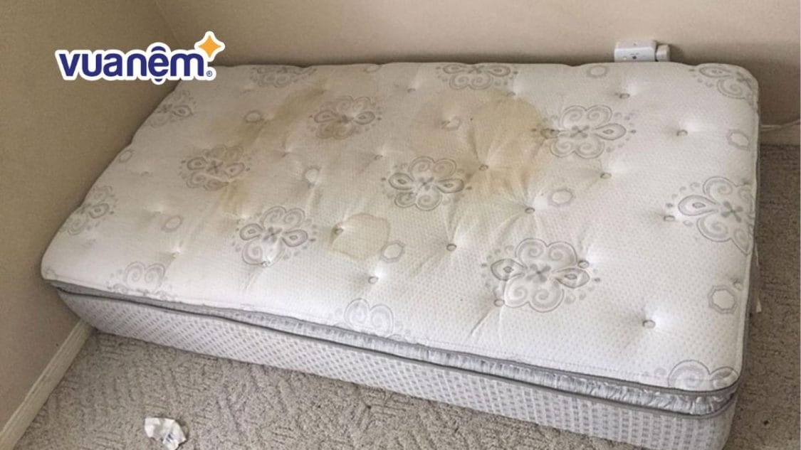 xử lý nệm bị nấm mốc