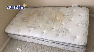 Bật mí 10 cách xử lý nệm bị nấm mốc hiệu quả ngay tại nhà