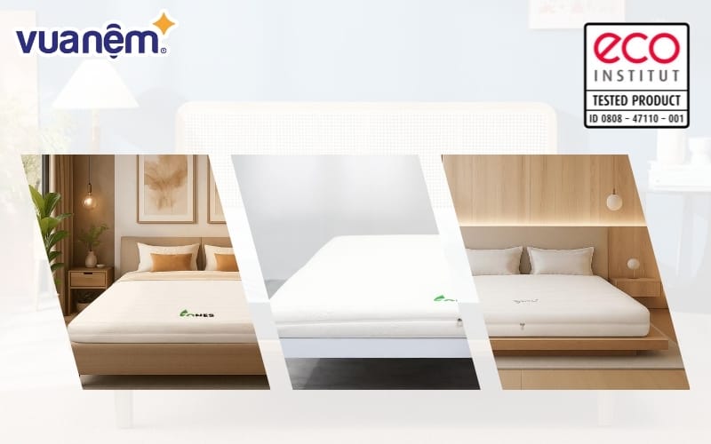 chung nhan eco institut la gi 2