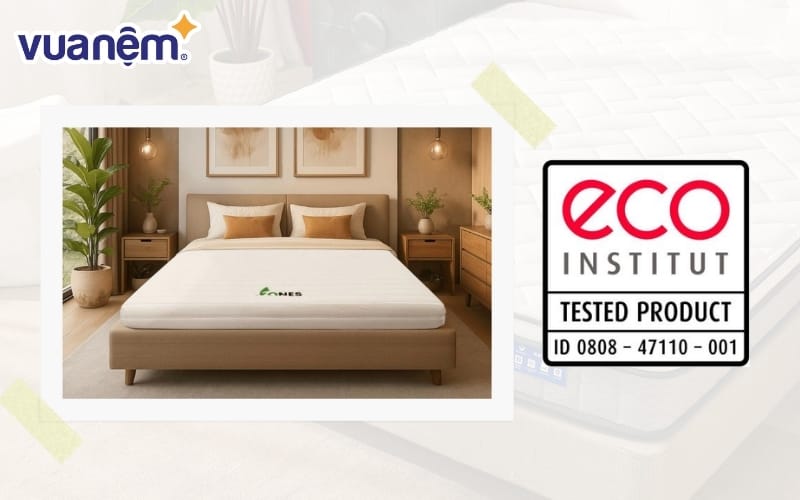 Nệm Cao su Gummi Legend