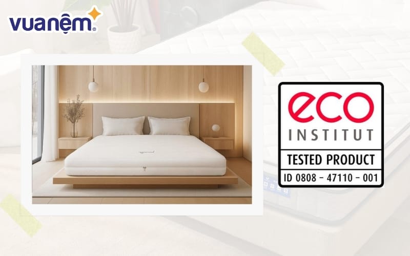 Nệm Cao su Gummi Latex 7zones