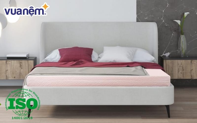 chung nhan iso 14001 2015 la gi 10