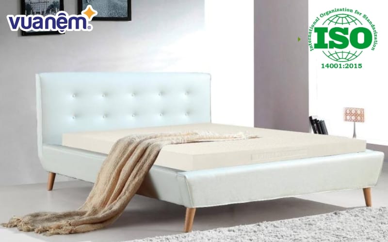 chung nhan iso 14001 2015 la gi 11