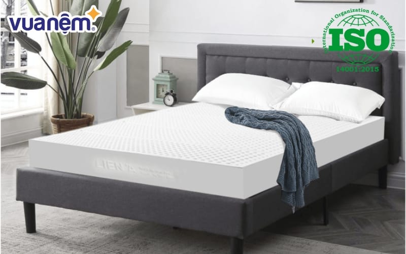 chung nhan iso 14001 2015 la gi 12