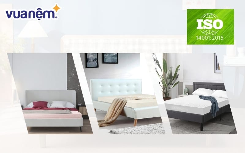 chung nhan iso 14001 2015 la gi 2