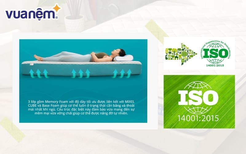 Nệm foam Nhật Bản kháng khuẩn Aeroflow Fit Plus