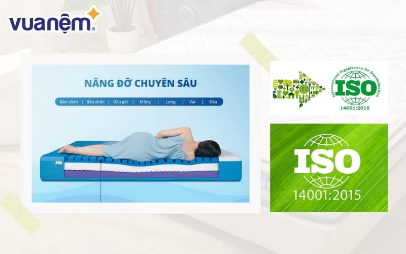 Nệm foam Nhật Bản Aeroflow Pride