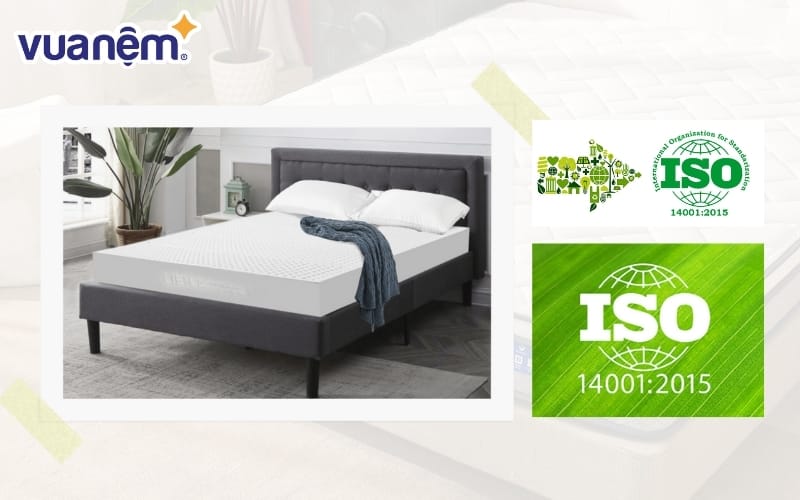 Nệm cao su thiên nhiên Liên Á 5Zone