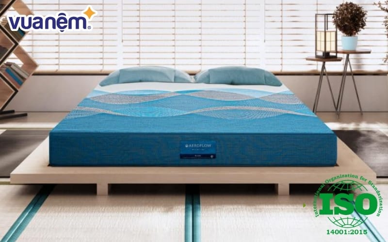 chung nhan iso 14001 2015 la gi 9