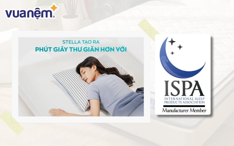 Nệm Cao su Foam Kim Cương Stella